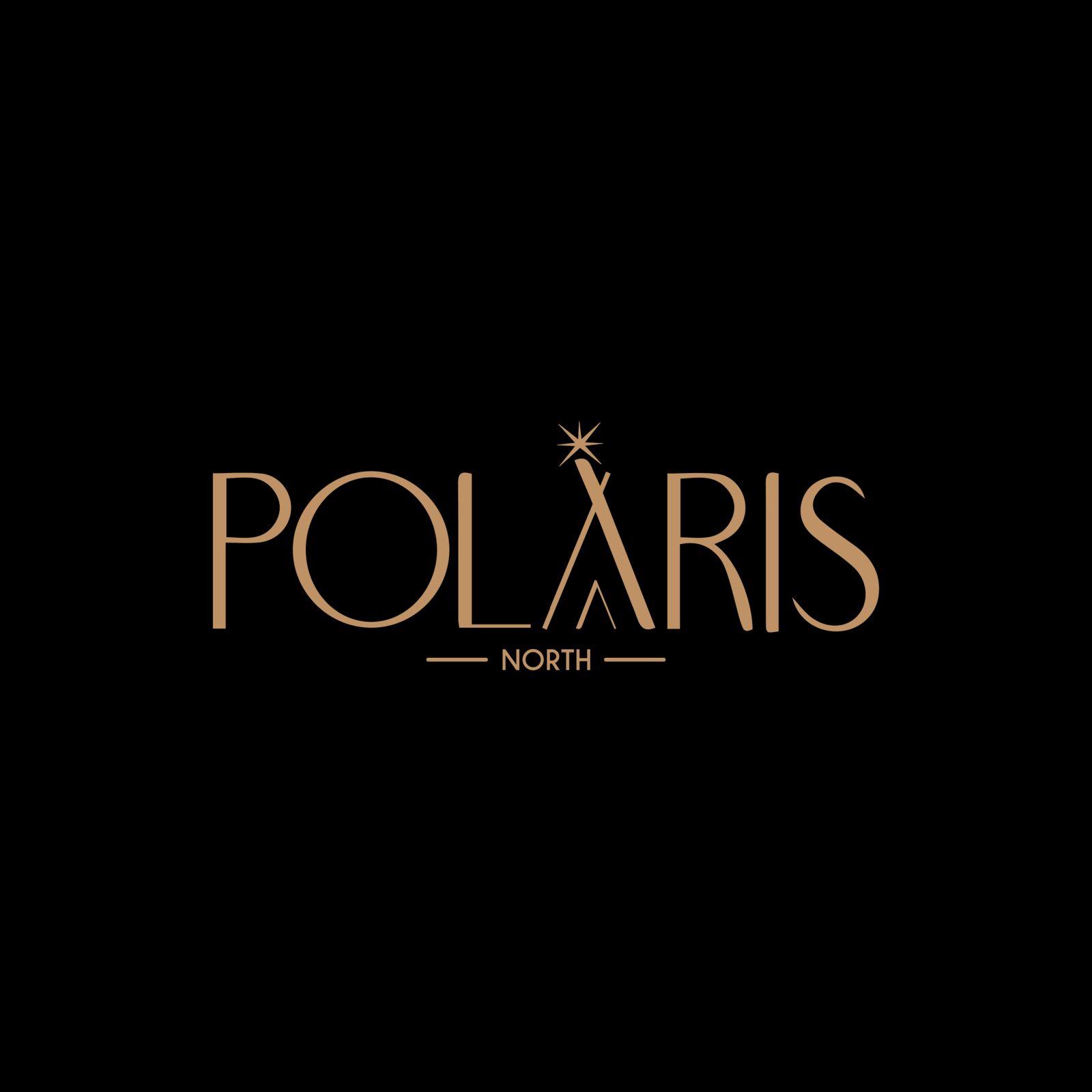 Polaris North | بولاريس نورث Logo